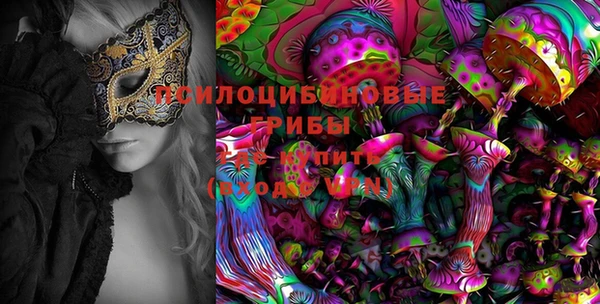 марки lsd Богданович